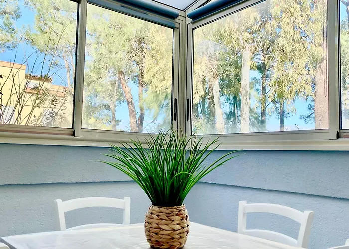 Apartamento Clim , Wifi, 200 Metres Argelès-sur-Mer
